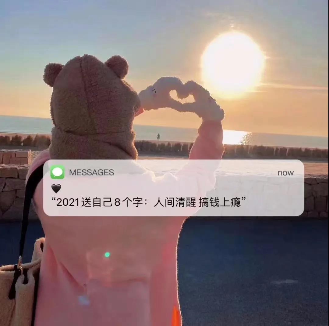 2021送自己8个字人间清醒搞钱上瘾表情包