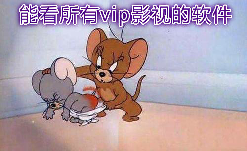 能看所有vip影视的软件合集